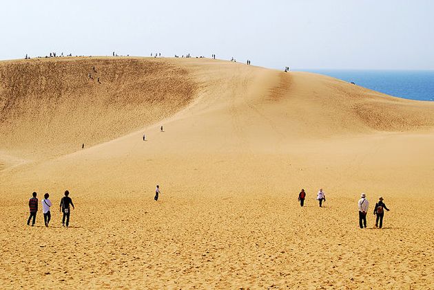 Re: [問卦] 鳥取沙丘是不是日本最過譽景點??