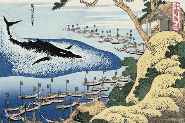 反捕鯨派にも問題があった……日本のIWC脱退、海外の見方に変化も 