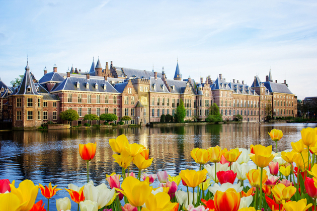 オランダが呼称を統一 俗称の「Holland」は不使用に - NewSphere