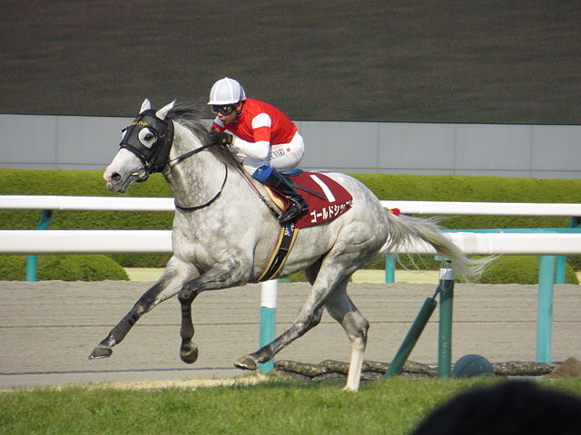 日本競馬の歴代高額賞金馬ランキング 1位は世紀末覇王と呼ばれた稀代の名馬！ - NewSphere